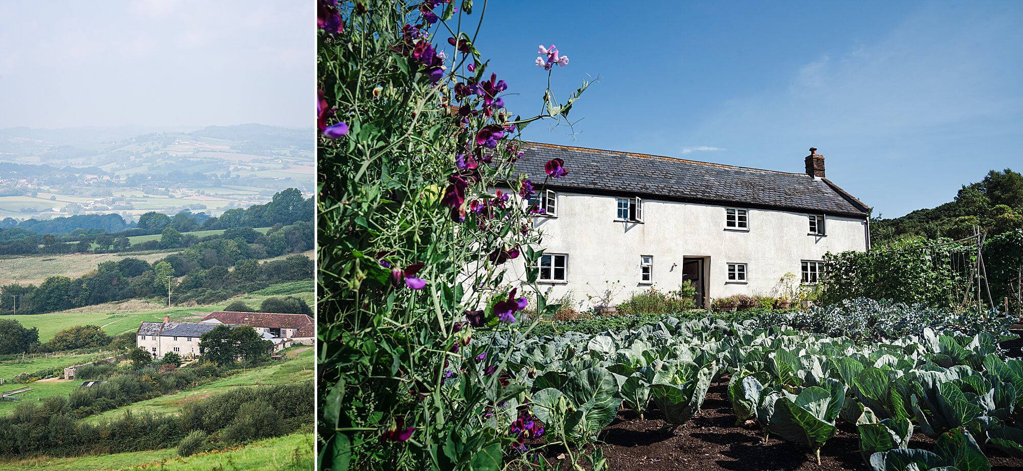 View of River Cottage and vegetable gardens set in the spectacular Axe Valley in Devon