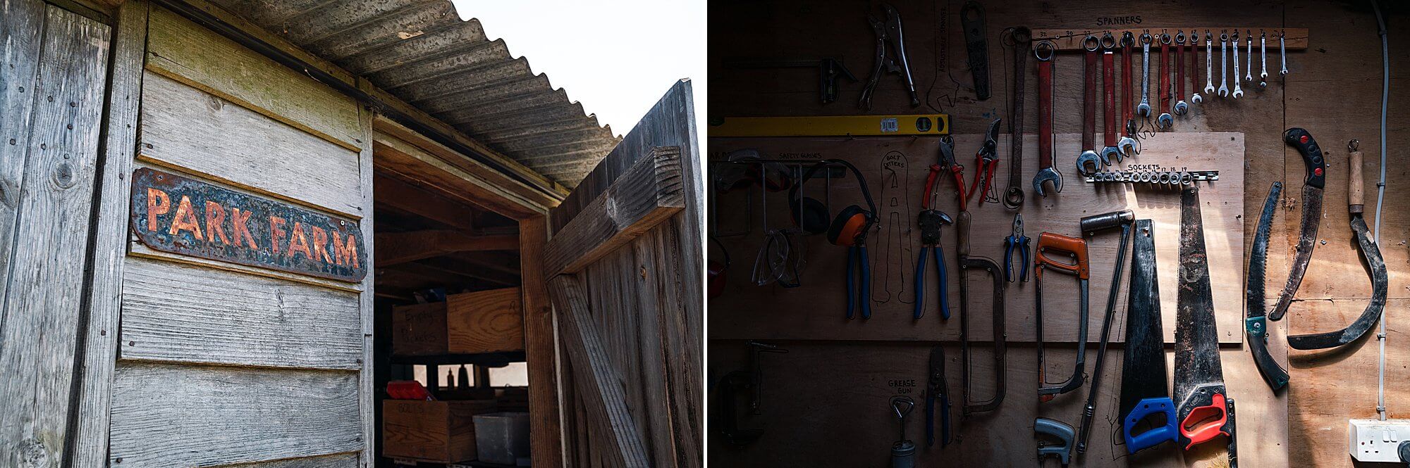organised tool shed at river cottage hq